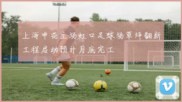 上海申花主场虹口足球场草坪翻新工程启动预计月底完工