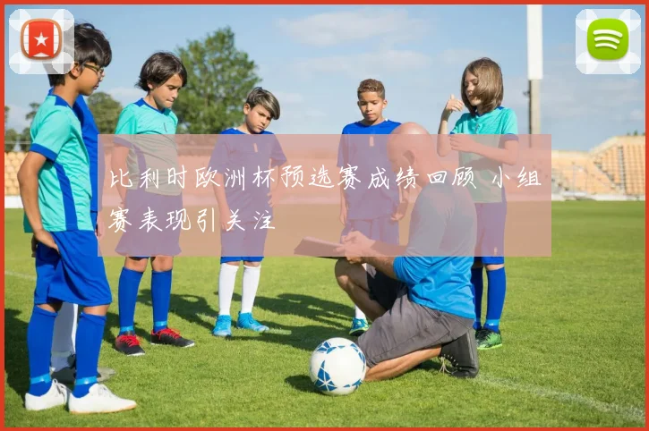 比利时欧洲杯预选赛成绩回顾 小组赛表现引关注